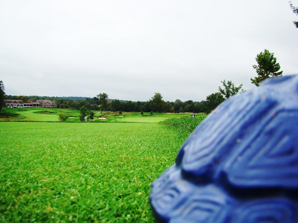 Scenic view of large green fairways and clubhouse in Cortlandt Manor, NY
