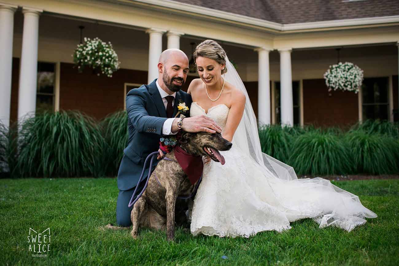 A newly married couple is petting a dog at Hollow Brook Golf Club